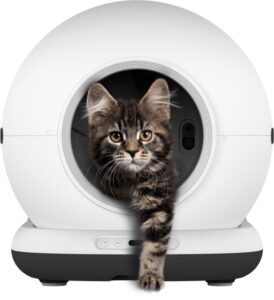 Zedar automatische kattenbak