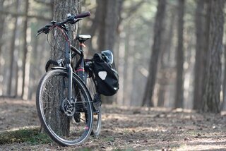 Fiets met dubbele fietstas staat aan boom in het park