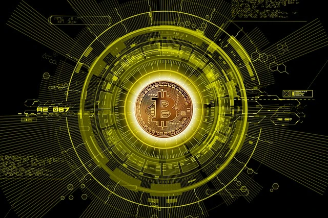 Bitcoin digitale valuta