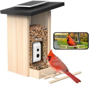 Birdfy Feeder Ebony Inclusief Zonnepaneel